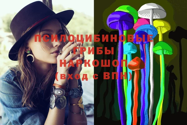 бошки Верея